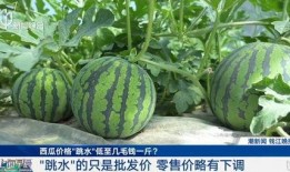 公开吃瓜,一场公开吃瓜的狂欢盛宴