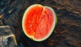 吃瓜djgg,网络红人的崛起之路