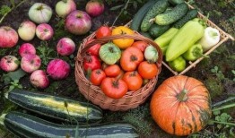 日留吃瓜,揭秘娱乐圈背后的那些事儿