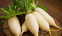 白苒苒吃瓜,白苒苒的瓜界奇遇记