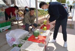 商河吃瓜事件始末,一场网络热议背后的真相与反思