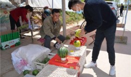 商河吃瓜事件始末,一场网络热议背后的真相与反思