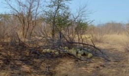 大型吃瓜现场搞笑,笑料横飞，笑不活了！