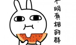 迎来各种吃瓜的句子