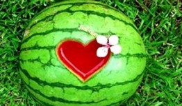 梦见自己吃梨瓜,揭秘吃梨瓜的神秘寓意