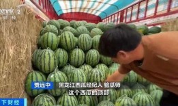 今年是吃瓜年吗,吃瓜年，娱乐圈风云再起