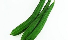 唐山女吃瓜,揭秘网络舆论背后的真相与反思