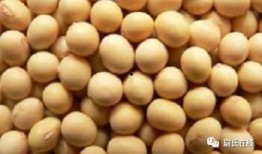 新乡延津吃瓜,探寻新乡特色美食之旅