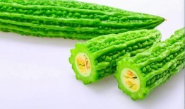 吃瓜按摩师,师生互动中的趣味与智慧