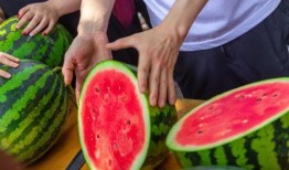 日留吃瓜,揭秘娱乐圈背后的那些事儿