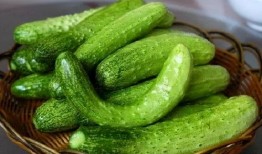 黄鼎然吃瓜,揭秘娱乐圈幕后故事