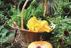 花花和叶吃瓜,瓜田里的欢乐时光