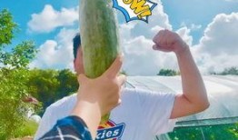 今年是吃瓜年吗,吃瓜年，娱乐圈风云再起