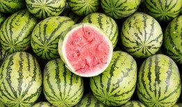 一中吃的瓜,揭秘一中校园里的美食瓜界风云