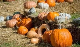 吃瓜神坛,网络舆论场中的狂欢与反思