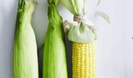 伤心的玉米视频吃瓜,揭秘网络热传视频背后的感人故事