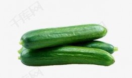 吃瓜坨子视频下载免费,轻松获取热门内容！