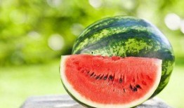 水果少女吃瓜,水果少女的甜蜜瓜界探险记