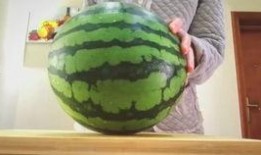 吃瓜的白驹,揭秘娱乐圈幕后故事