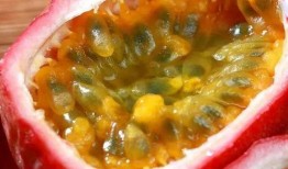 吃瓜社照片,明星真实生活瞬间大揭秘