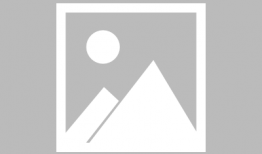 吃瓜大赛参与奖