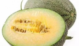 melon吃瓜,揭秘娱乐圈的甜蜜与苦涩