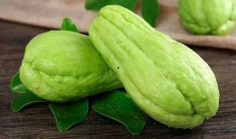 吃梨瓜嘴巴难受,揭秘吃梨瓜嘴巴难受之谜