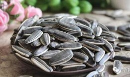 瓜子搞笑吃瓜视频,带你领略欢乐瞬间