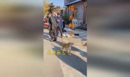 吃瓜群众不翻车,揭秘娱乐圈幕后真相