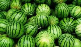 邹城人民吃瓜群