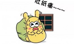 吃瓜群众的天使