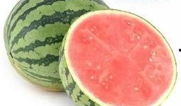 最厉害的吃瓜技巧,掌握这些技巧，让你成为朋友圈焦点！