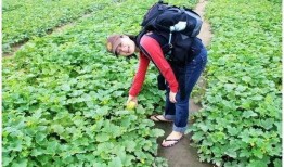 韩村吃瓜,揭秘乡村生活趣味瞬间