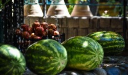 吃瓜50磅,吃瓜达人挑战50磅瓜果盛宴