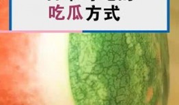 瓜哥吃瓜奇葩,揭秘那些令人瞠目结舌的奇葩事件