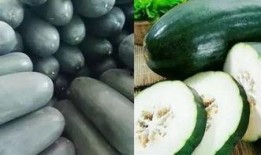 吃瓜把瓜吃没了,一场吃瓜盛宴的完美落幕