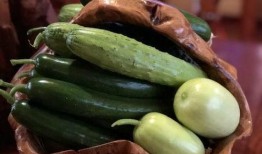 沛县网红吃瓜,一场视觉与味蕾的双重盛宴