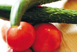 吃瓜宗门番茄,吃瓜者的神秘世界揭秘