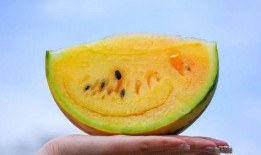 红街吃瓜,揭秘吃瓜群众的狂欢盛宴