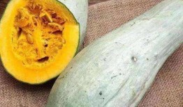 吃酉瓜变颜色,探寻自然色彩的奥秘