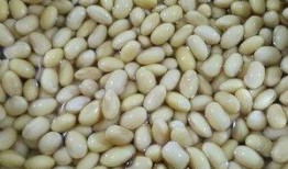 作者吃瓜大料,作者吃瓜大料，带你领略幕后风云