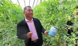 商河吃瓜事件始末,一场网络热议背后的真相与反思