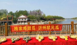 河东区吃瓜,品味夏日田园风情