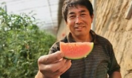 商河吃瓜事件始末,一场网络热议背后的真相与反思