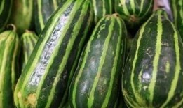 吃小梢瓜,夏日清新美食，健康养生新选择