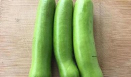 宝宝咳嗽吃瓠子瓜,天然食疗新选择