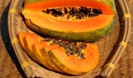 69吃瓜今日吃瓜入口,今日热门瓜料入口盘点