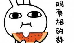 吃瓜段子秀故事,吃瓜段子秀里的欢乐时光