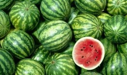 面瓜多了怎么吃,创意烹饪指南