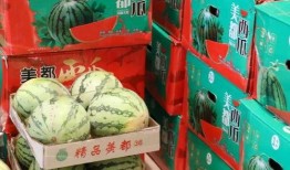 招远吃瓜事件视频,一场引发社会热议的悲剧